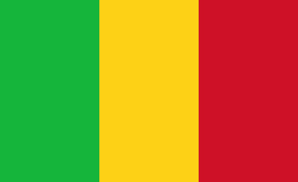 Mali Government Blames Sanctions for Treasury Bonds Default
