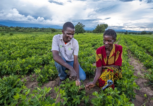 Mali receives African Risk Capacity climate risk insurance pay-out