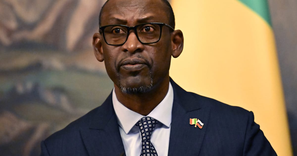 Mali accuses France of arming jihadists