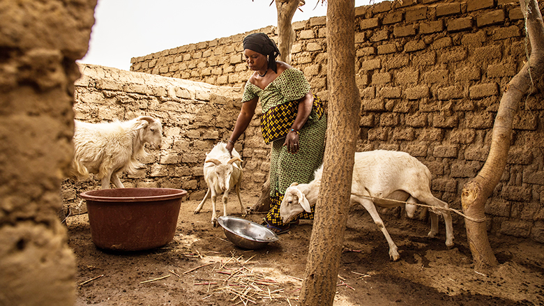 Mali: Strengthening Financial Resilience to Recurrent Droughts
